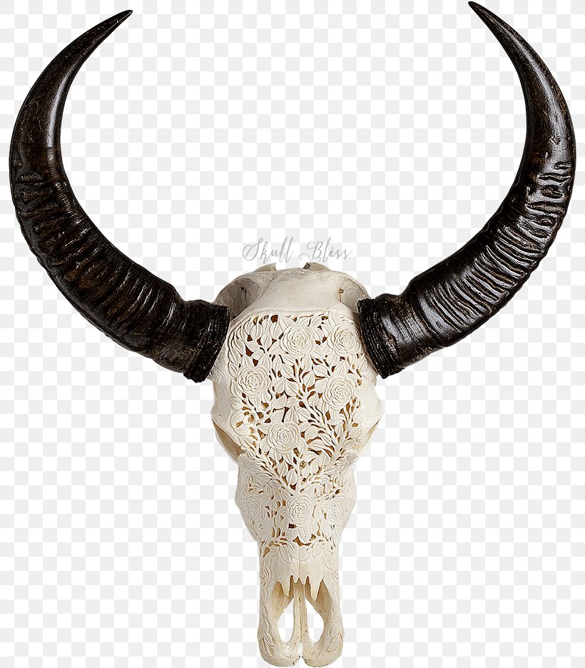 Horn Antelope Cow-goat Family Antler Skull, PNG, 799x936px, Horn, Animal Figure, Antelope, Antler, Bovine Download Free