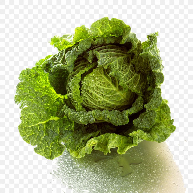 Cabbage Lettuce Vegetable Nutrition, PNG, 1024x1024px, Cabbage, Brassica Oleracea, Carrot, Chinese Cabbage, Collard Greens Download Free