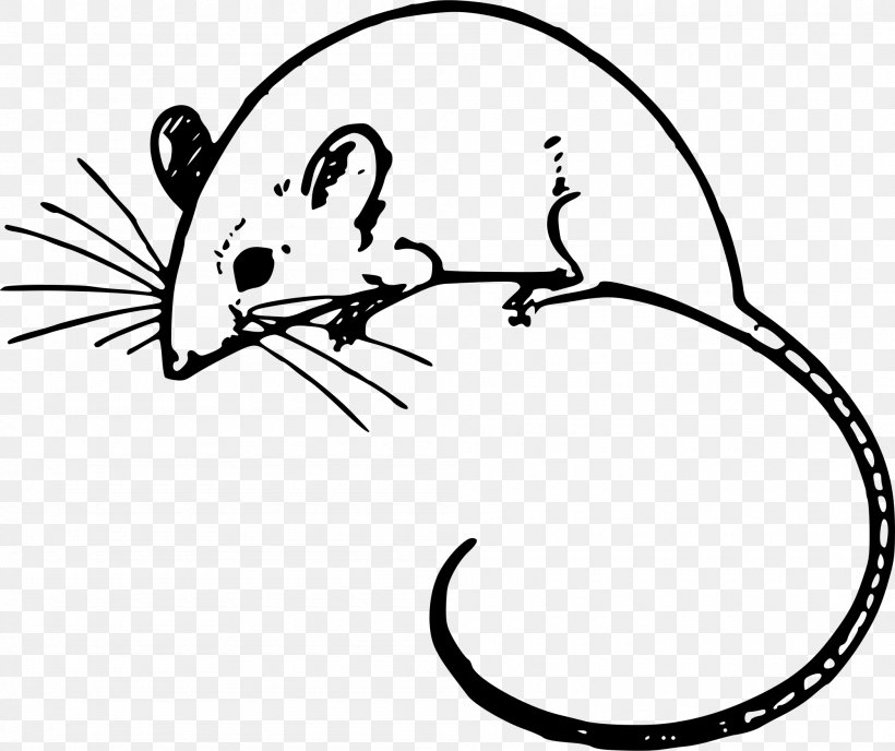 Mouse Line Art Rat Pest Muridae, PNG, 2000x1680px, Mouse, Line Art, Muridae, Muroidea, Pest Download Free