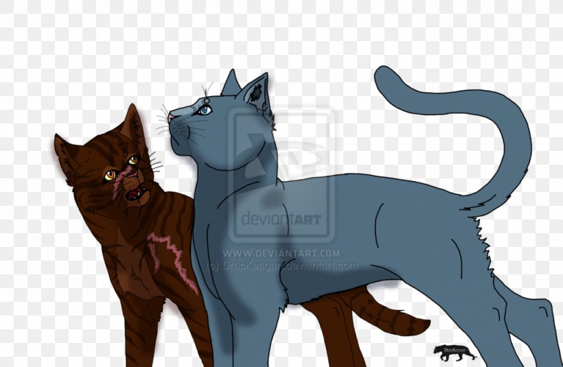 Black Cat Kitten Bluestar's Prophecy Tiger, PNG, 1024x669px, Black Cat, Bluestar, Brambleclaw, Carnivoran, Cat Download Free