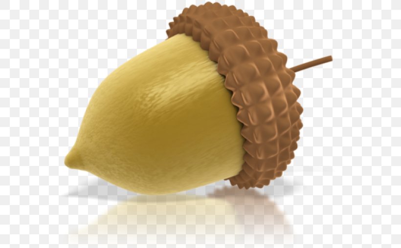 Clip Art Acorn Transparency Image, PNG, 600x508px, Acorn, Chocolate, Cuisine, Food, Nut Download Free