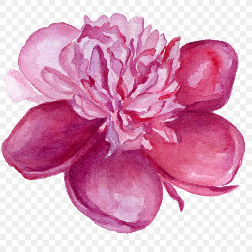 Flower Violet Watercolor Painting Lilac Clip Art, PNG, 1500x1500px, Flower, Blossom, Drawing, Floral Design, Flowering Plant Download Free