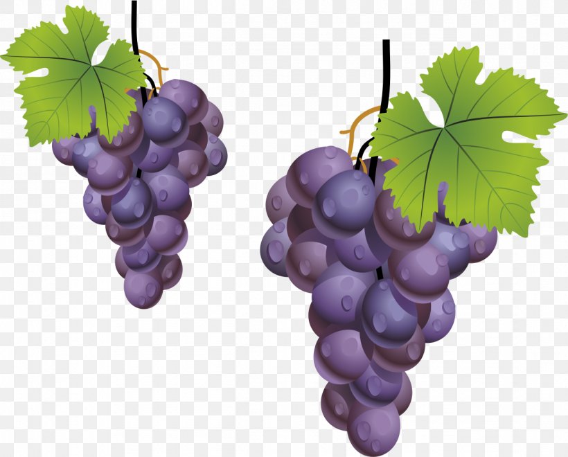 Grape Leaves Kyoho Fruit, PNG, 1267x1020px, Grape, Auglis, Flowering Plant, Food, Fruit Download Free