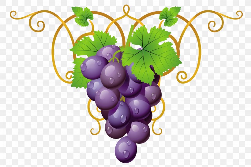 Papouli's Common Grape Vine Clip Art, PNG, 4500x3000px, Common Grape Vine, Flowering Plant, Food, Fruit, Grape Download Free