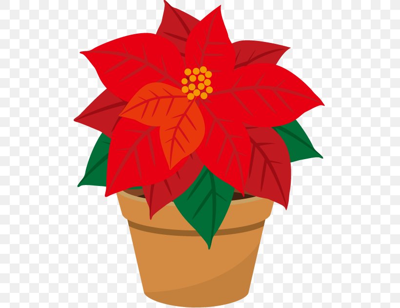 Poinsettia Illustrator, PNG, 517x631px, Poinsettia, Christmas, Flower, Flowering Plant, Flowerpot Download Free