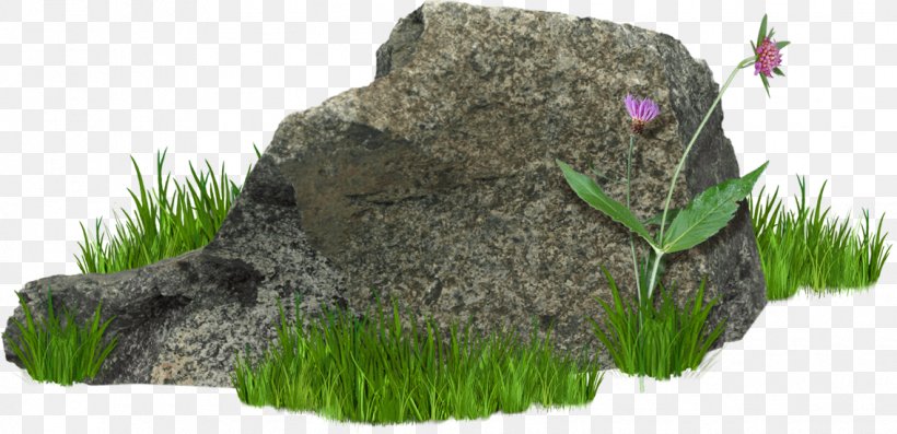 Rock Clip Art, PNG, 1135x550px, Rock, Grass, Plant, Stone, Tree Download Free