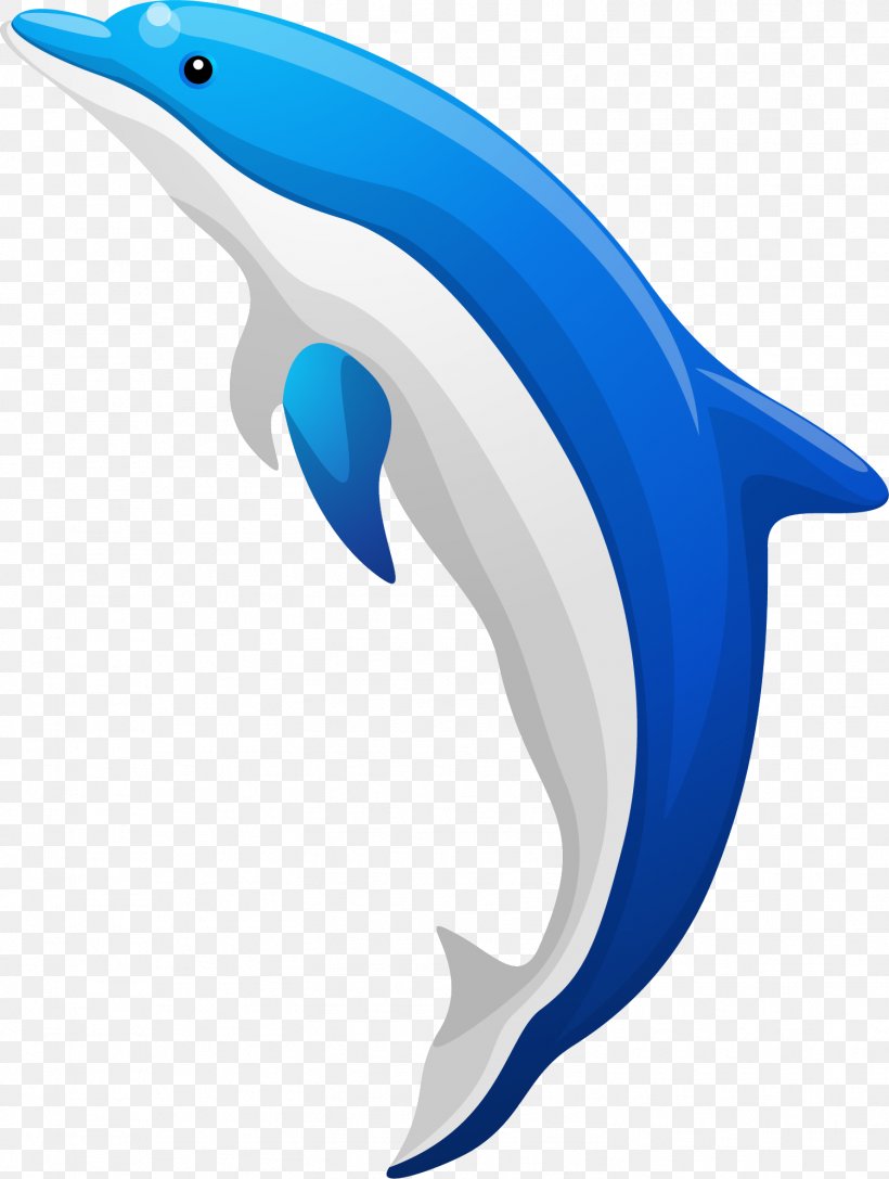 Common Bottlenose Dolphin Tucuxi, PNG, 1501x1991px, Common Bottlenose Dolphin, Blue, Dolphin, Drawing, Fin Download Free