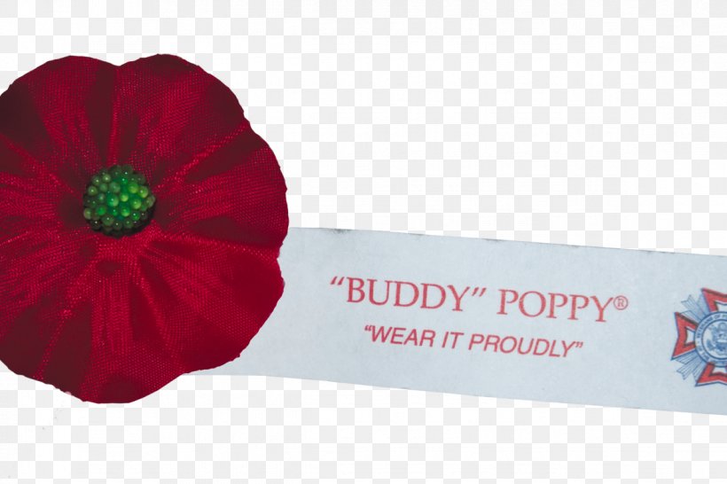 Poppy Veterans Of Foreign Wars Organization Flower, PNG, 1186x791px, Poppy, Family, Flower, Honour, Military Download Free