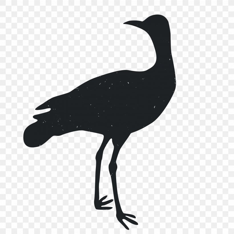 Silhouette Animal, PNG, 3600x3600px, Silhouette, Animal, Beak, Bird, Black And White Download Free