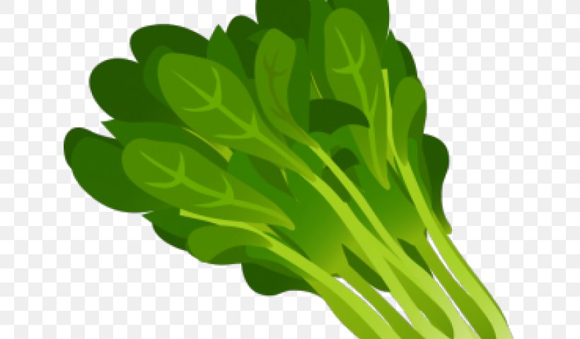 Clip Art Lettuce Greens Salad, PNG, 640x480px, Lettuce, Arugula, Cabbage, Chard, Choy Sum Download Free