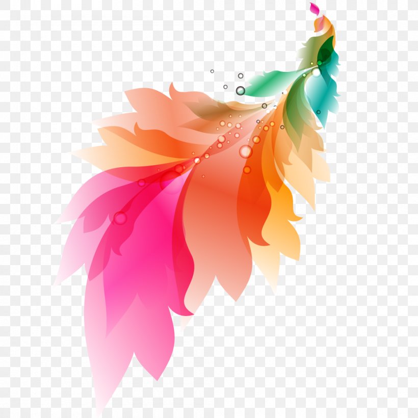 Feather Stock Photography Computer, PNG, 1000x1000px, Feather, Computer, Flower, Flowering Plant, Orange Download Free