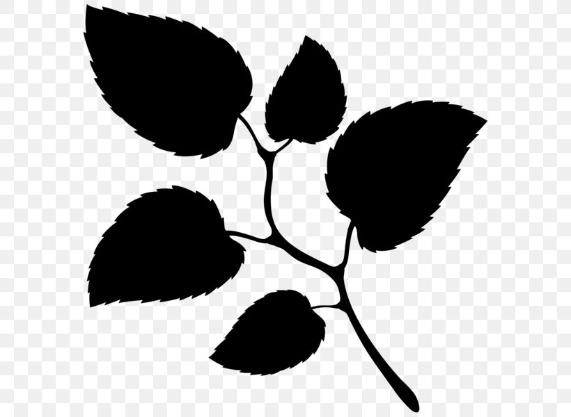 Flower Plant Stem Leaf Clip Art Line, PNG, 593x600px, Flower, Black M, Blackandwhite, Botany, Branching Download Free