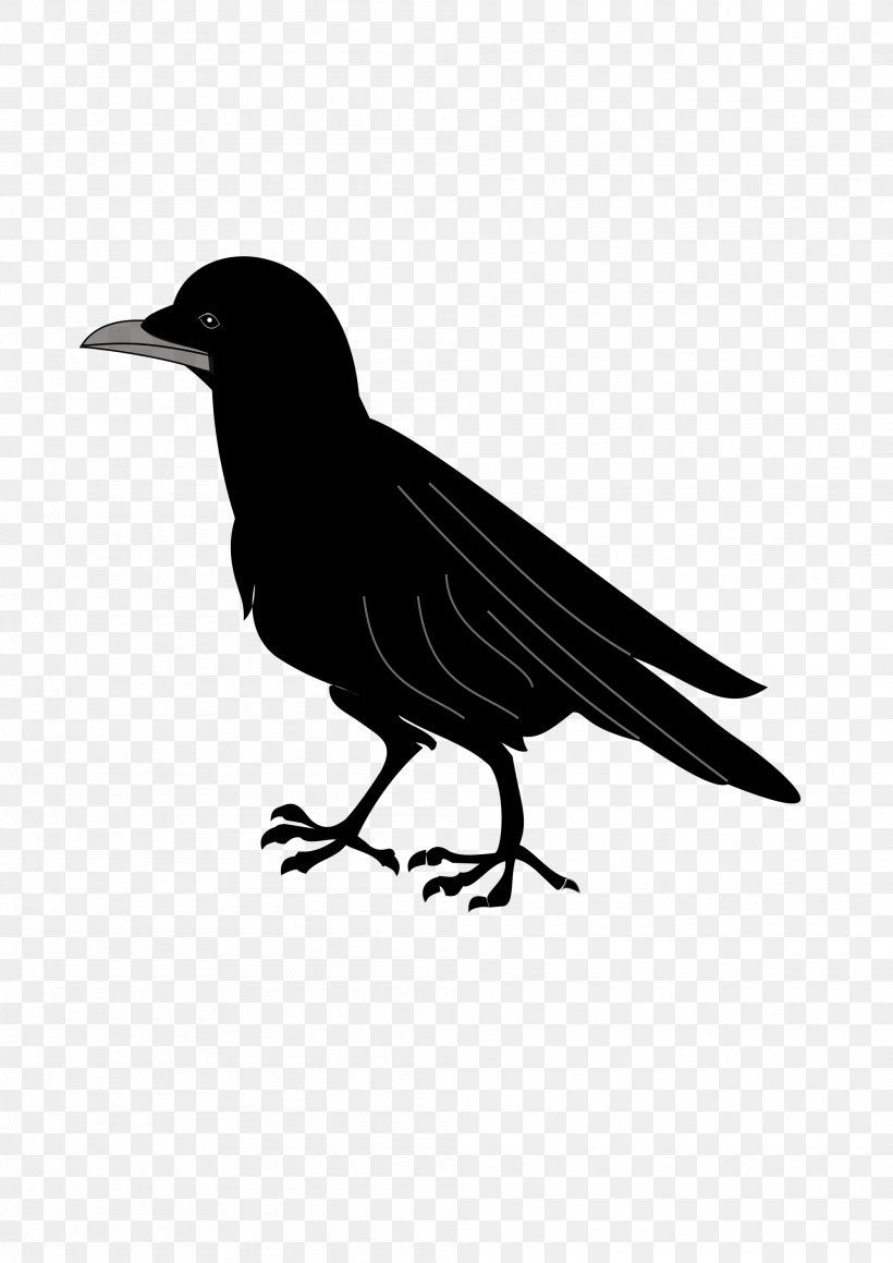 Coat Of Arms Blazon Common Raven Clip Art, PNG, 2000x2828px, Coat Of Arms, American Crow, Beak, Bird, Black And White Download Free