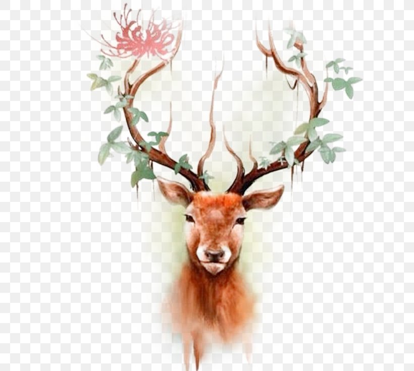 Deer Elk Moose Tattoo Paper, PNG, 705x735px, Deer, Abziehtattoo, Antler, Arm, Beauty Download Free