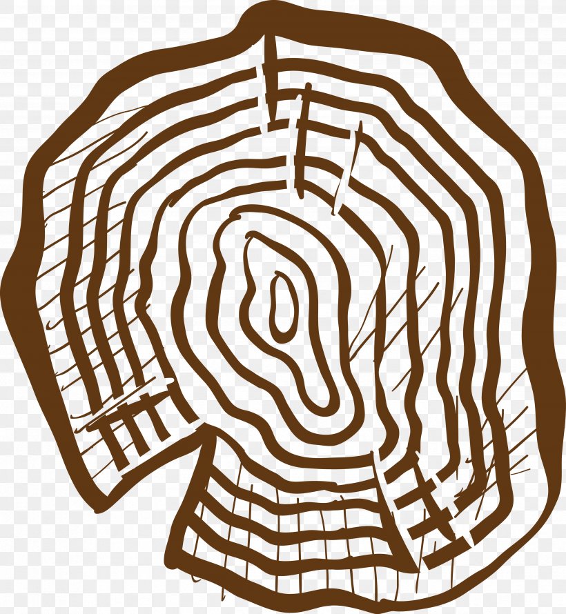 Euclidean Vector Clip Art, PNG, 3467x3766px, Wood, Area, Head, Tree Download Free