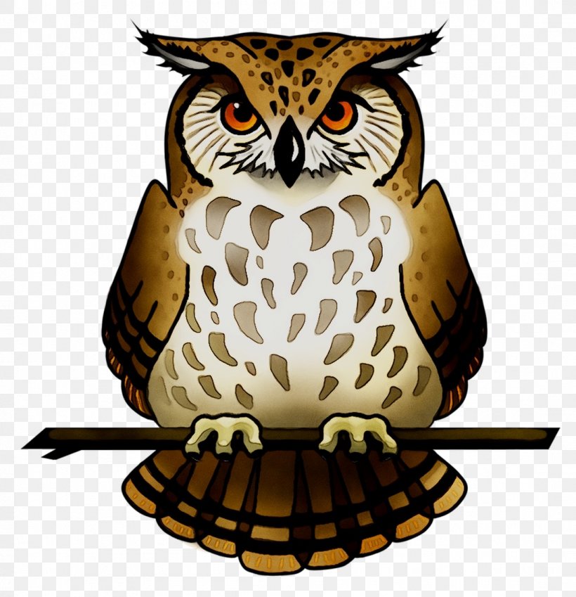 Tawny Owl Snowy Owl Eurasian Eagle-owl Bird, PNG, 1097x1137px, Owl, Barn Owl, Barred Owl, Beak, Bird Download Free