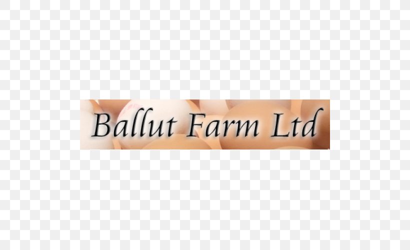 Manikata Ballut Findit Malta Balut Farm, PNG, 500x500px, Findit Malta, Balut, Business, Com, Egg Download Free