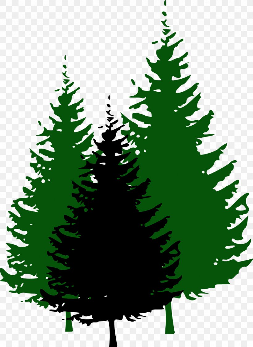 Pine Tree Fir Clip Art, PNG, 936x1280px, Pine, Black Pine, Christmas Decoration, Christmas Ornament, Christmas Tree Download Free
