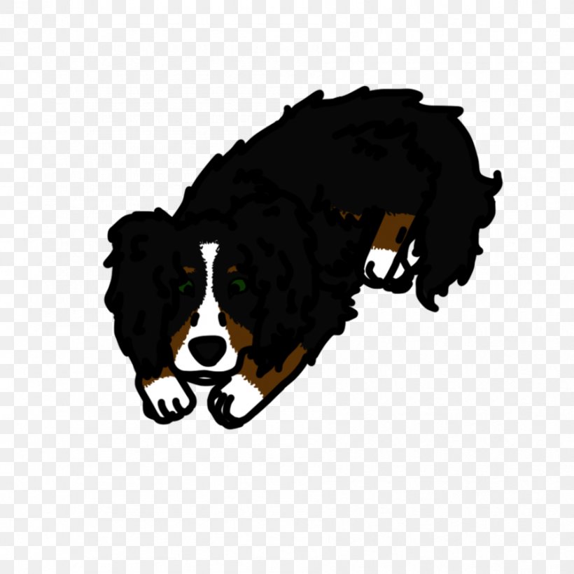 Dog Breed Bernese Mountain Dog Puppy Snout, PNG, 894x894px, Dog Breed, Bernese Mountain Dog, Breed, Carnivoran, Dog Download Free