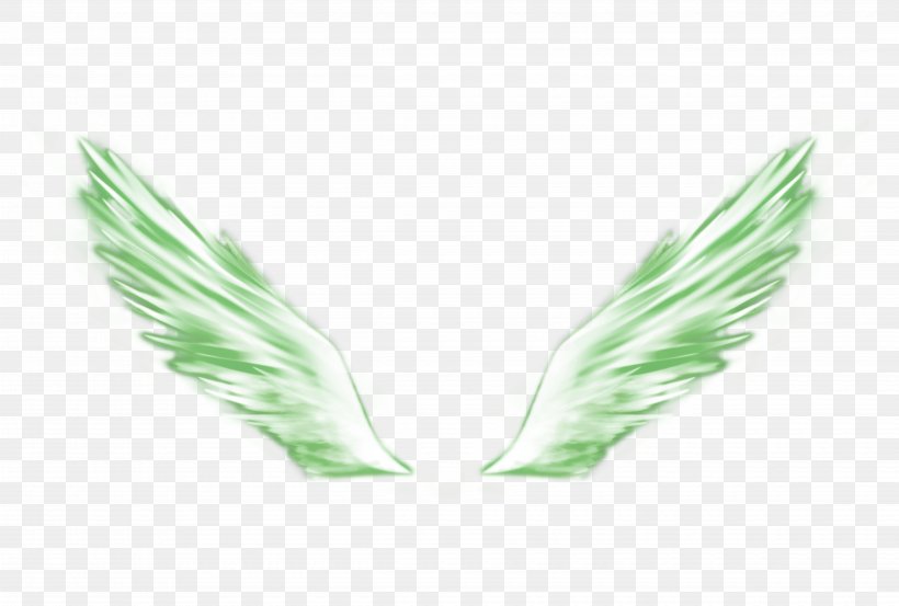 Green, PNG, 4980x3360px, Green, Data Compression, Feather, Grass, Gratis Download Free