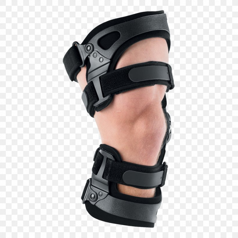 Knee Pain Osteoarthritis Breg, Inc. Orthotics, PNG, 1024x1024px, Knee Pain, Arm, Arthritis, Breg Inc, Dental Braces Download Free