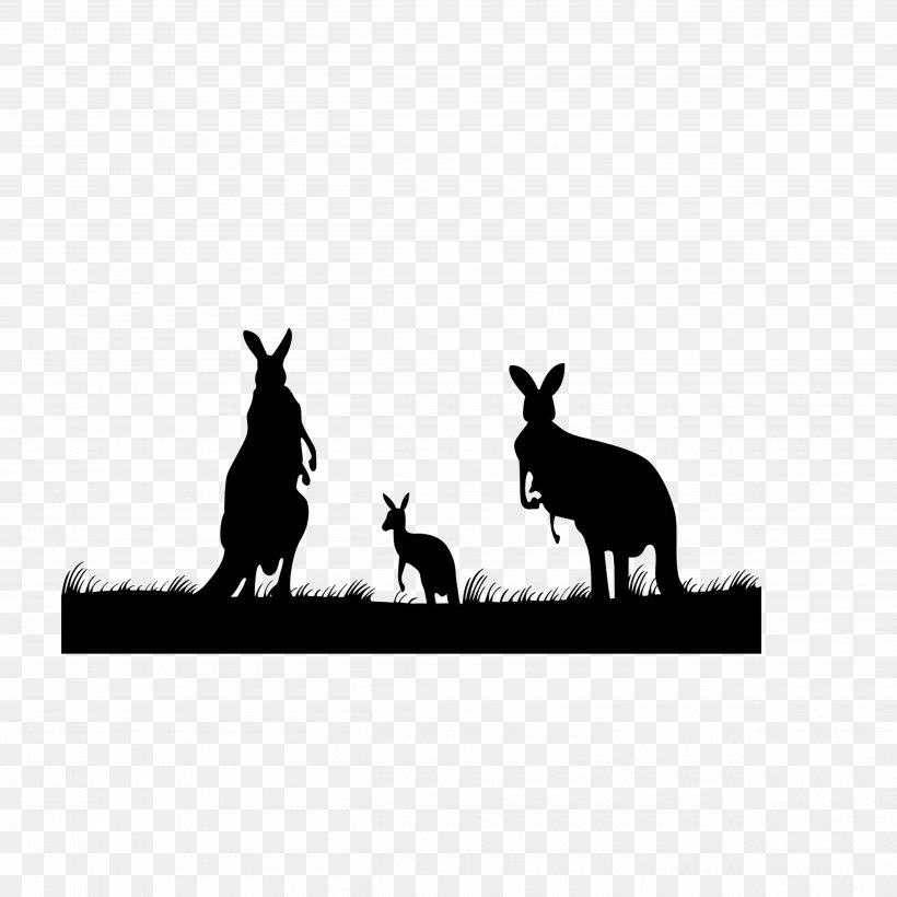 Koala Red Kangaroo Clip Art, PNG, 5000x5000px, Koala, Black, Black And White, Cat, Cat Like Mammal Download Free