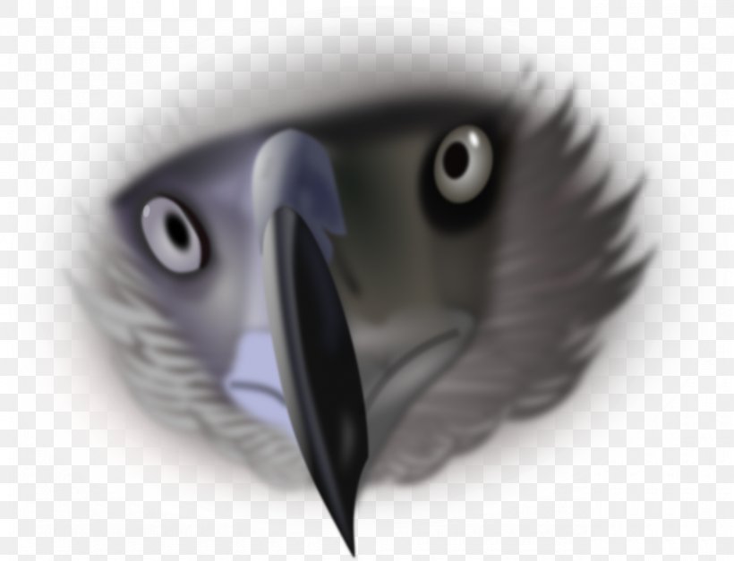Bald Eagle Philippine Eagle Clip Art, PNG, 1280x979px, Bald Eagle, African Fish Eagle, Animal, Beak, Bird Download Free