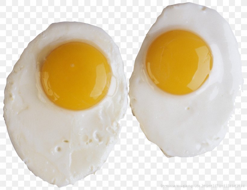 Fried Egg Chicken Egg Yolk Food, PNG, 1024x788px, Fried Egg, Chicken Egg, Dish, Egg, Egg Yolk Download Free