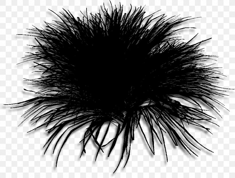 Fur Tree Black M, PNG, 858x648px, Fur, Black, Black M, Blackandwhite, Eye Download Free