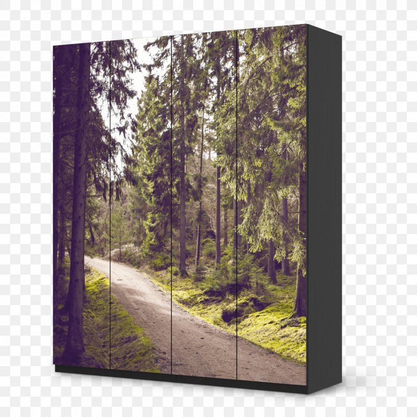 Two Roads Diverged In A Wood, And I -- I Took The One Less Traveled By, And That Has Made All The Difference. Organization Goal Person Project, PNG, 1500x1500px, Organization, Biome, Ecosystem, Forest, Goal Download Free