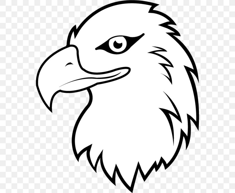 Bald Eagle White-tailed Eagle Cartoon Clip Art, PNG, 570x674px, Bald Eagle, Art, Artwork, Beak, Bird Download Free