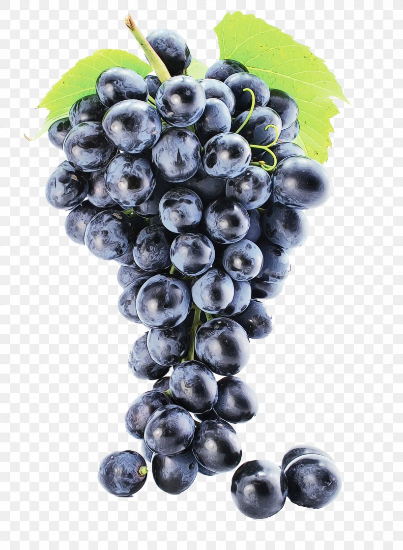 Fruit Juice, PNG, 2536x3462px, Common Grape Vine, Berry, Bilberry, Blueberry, Currant Download Free