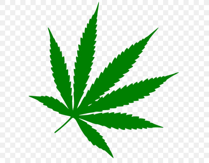 Medical Cannabis Leaf 420 Day Stoner Film, PNG, 600x640px, 420 Day, Cannabis, Dispensary, Fotolia, Hemp Download Free