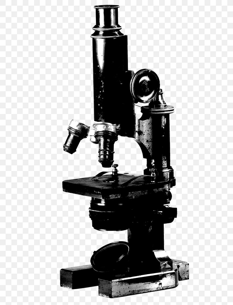 Microscope Stock Photography Stock.xchng Image Royalty-free, PNG, 522x1070px, Microscope, Black And White, Depositphotos, Getty Images, Istock Download Free