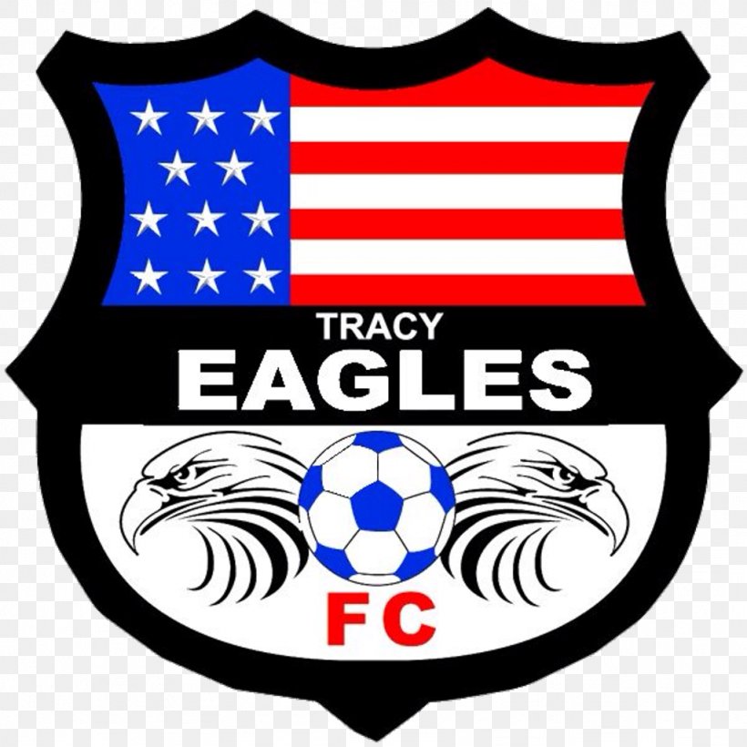 Philadelphia Eagles Football Team Go Ahead Eagles Clip Art, PNG, 1024x1024px, Philadelphia Eagles, American Football, Area, Brand, Football Download Free