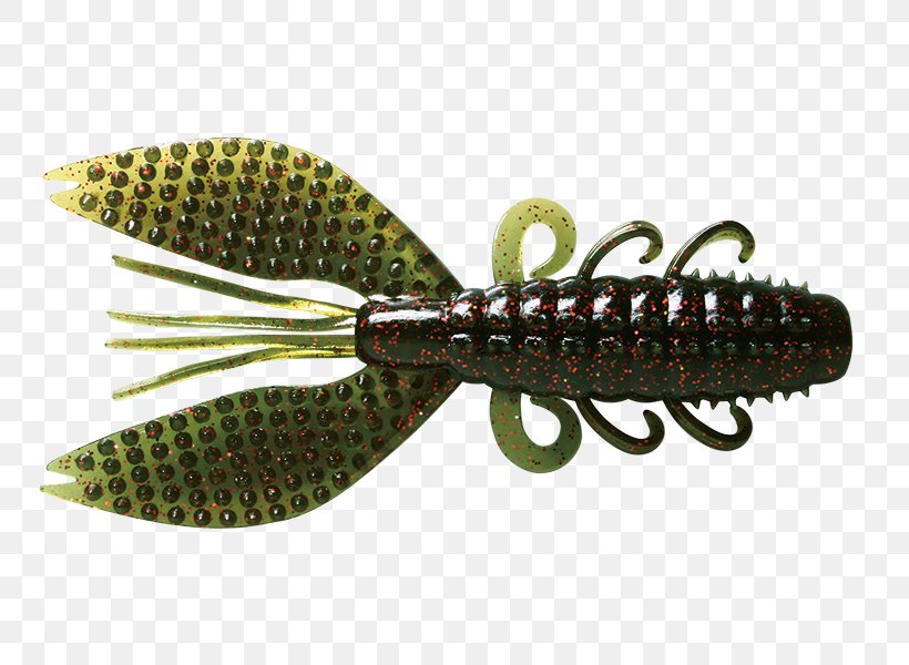 Profishing Di Uzzoli Francesco Fishing Bait Recreational Fishing Spinnerbait, PNG, 800x600px, Fishing Bait, Bait, Fisherman, Fishing, Indoor Cycling Download Free