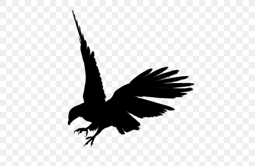 Bald Eagle Silhouette Clip Art, PNG, 600x534px, Bald Eagle, Art, Beak, Bird, Bird Of Prey Download Free