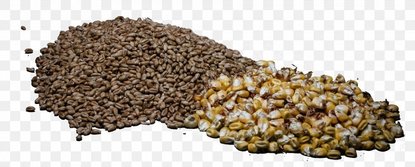 Commodity Seed, PNG, 1920x776px, Commodity, Seed, Superfood, Whole Grain Download Free
