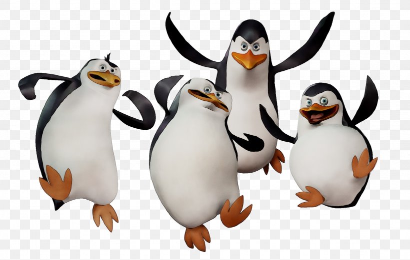 King Penguin Image Madagascar Desktop Wallpaper, PNG, 2359x1499px, Penguin, Animal, Animated Cartoon, Animation, Beak Download Free