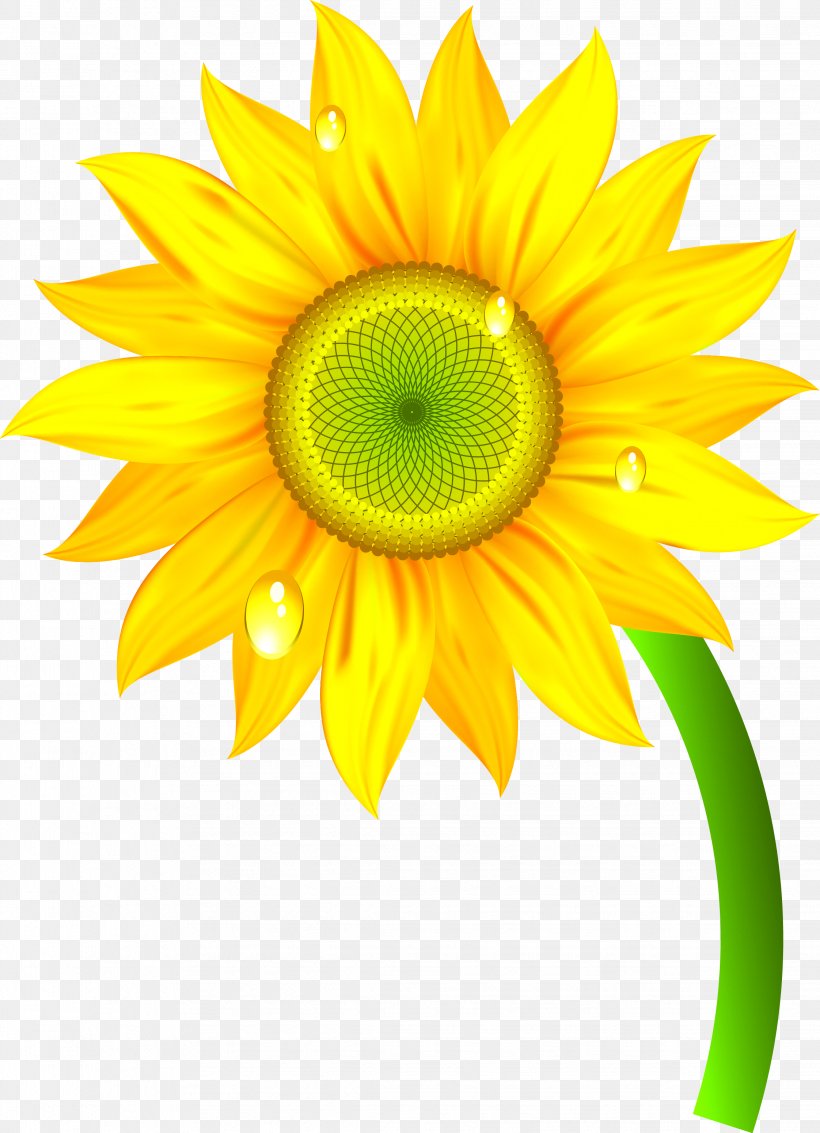 Nature Clip Art, PNG, 2244x3103px, Nature, Cut Flowers, Daisy, Daisy Family, Flower Download Free