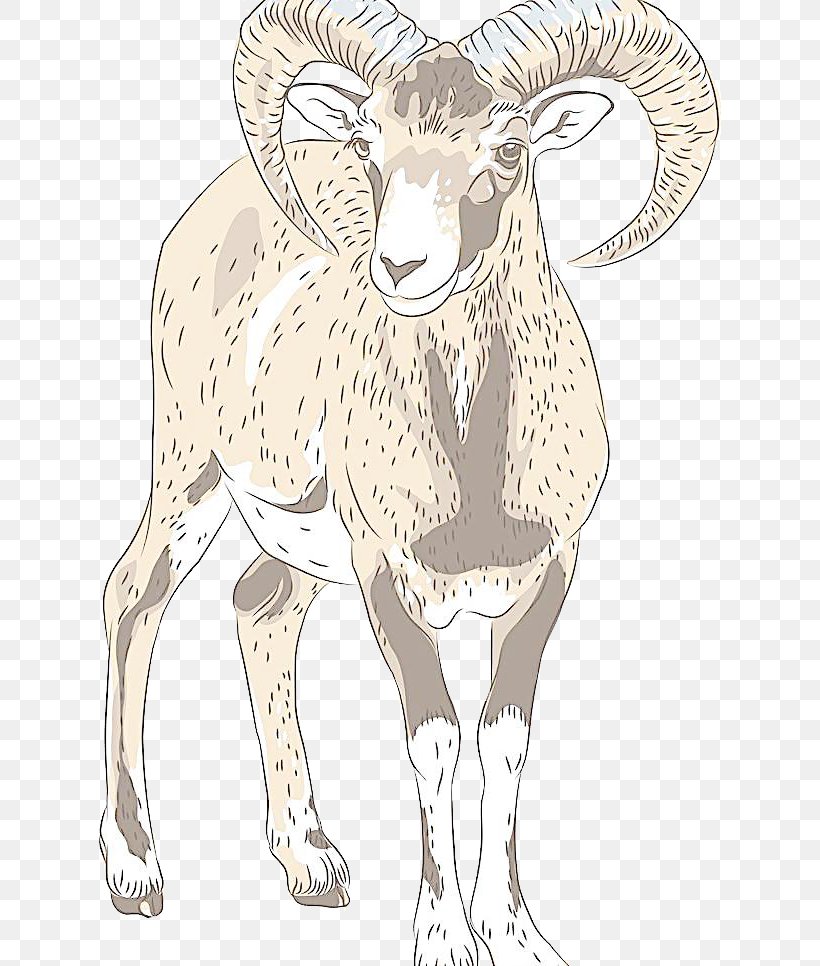 Alpine Ibex Drawing Clip Art, PNG, 622x966px, Alpine Ibex, Argali, Art, Can Stock Photo, Cattle Like Mammal Download Free
