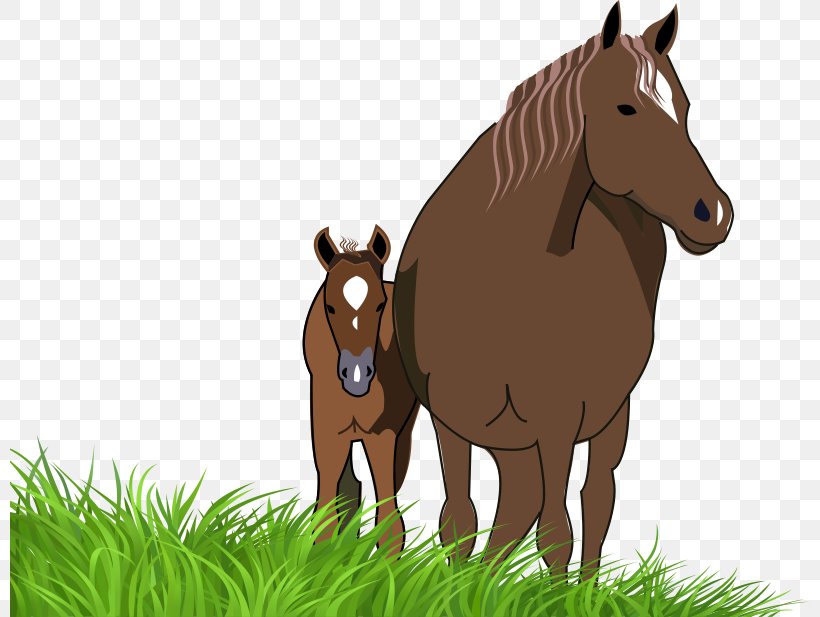 American Paint Horse American Quarter Horse Foal Mare Pony, PNG, 800x617px, American Paint Horse, American Quarter Horse, Bay, Black, Bridle Download Free