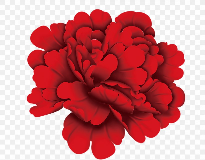 Chrysanthemum Red Flower, PNG, 2336x1831px, Chrysanthemum, Carnation, Cut Flowers, Dahlia, Floral Design Download Free