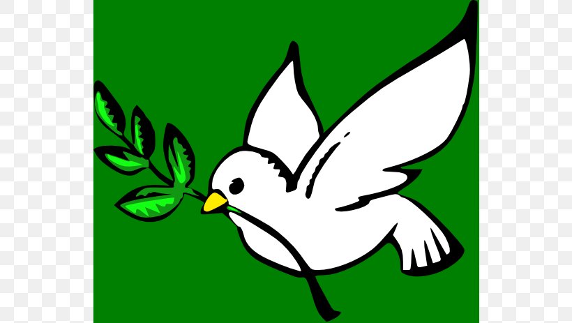 Columbidae Peace Doves As Symbols Clip Art, PNG, 555x463px, Columbidae, Art, Artwork, Beak, Bird Download Free