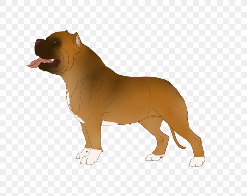 Dog Breed Snout, PNG, 1003x797px, Dog Breed, Breed, Carnivoran, Dog, Dog Breed Group Download Free
