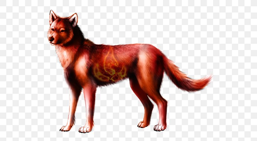 Red Fox Dog Breed Wolf Haven International Fire, PNG, 564x451px, Red Fox, Air, Carnivoran, Color, Dog Download Free