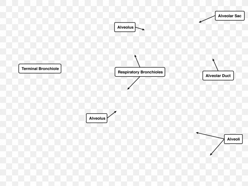 Document Line Brand, PNG, 1024x768px, Document, Area, Brand, Diagram, Number Download Free