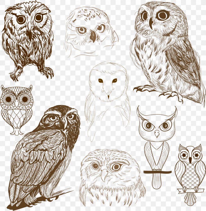 Owl Vector Graphics Drawing Illustration Image, PNG, 1921x1965px, Owl, Art, Beak, Bird, Bird Of Prey Download Free