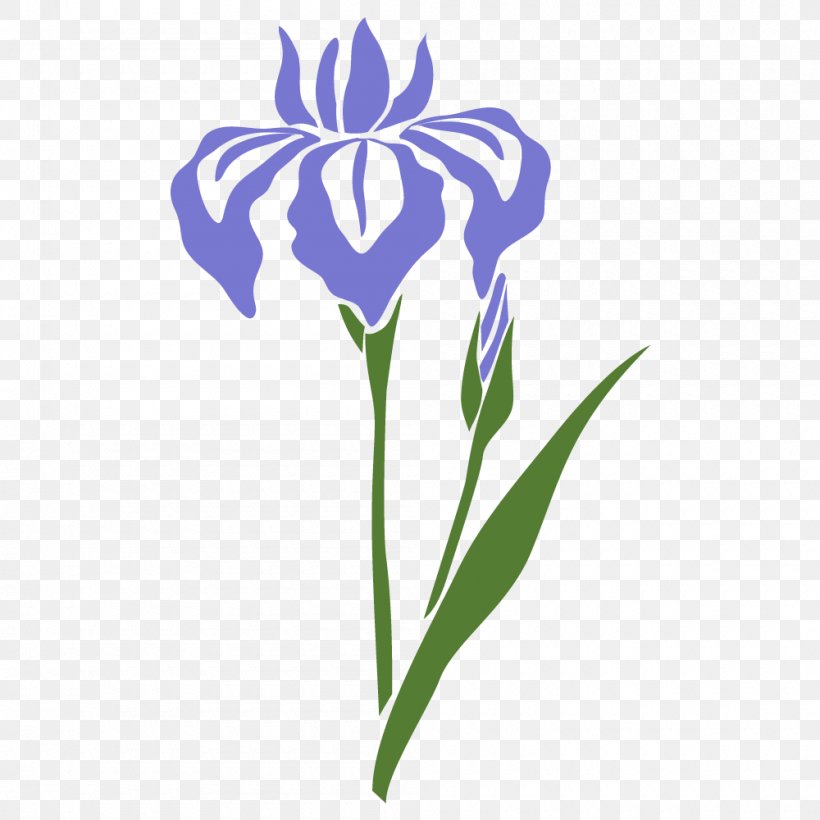 Sweet Flag Iris Sanguinea Iris Ensata Var. Ensata 洗百病, PNG, 1000x1000px, Sweet Flag, Black And White, Color, Cut Flowers, Flora Download Free