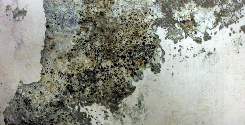 Texture Painting Wall Wallpaper, PNG, 1257x641px, Texture, Art, Faux Painting, Grunge, Mold Download Free